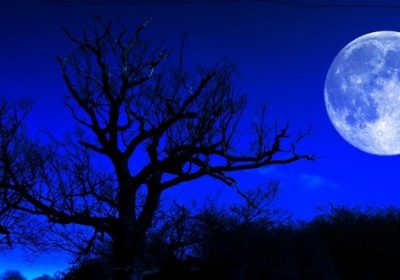 آیا ماه روی رفتار انسان تأثیر می گذارد؟